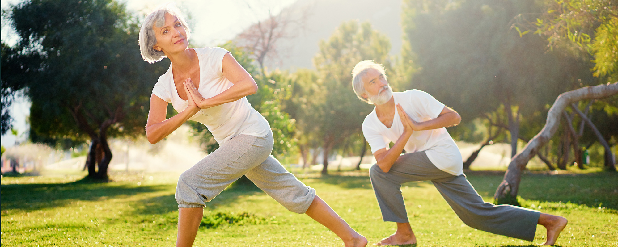 Image of a senior couple doing yoga outdoors.