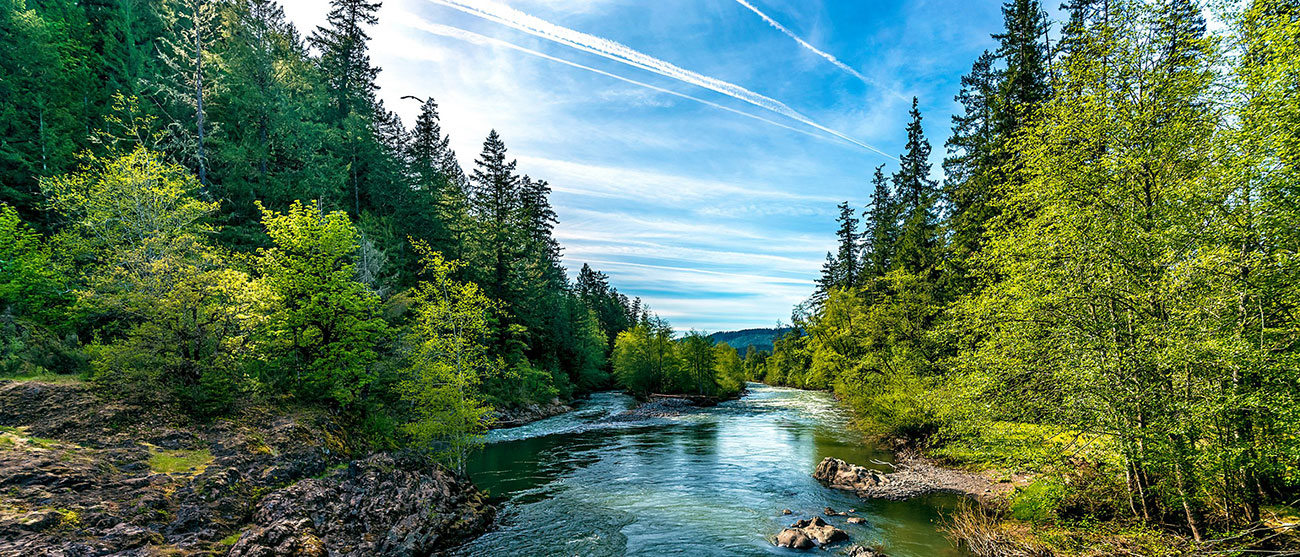 Image of river and trees in Oregon
