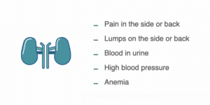 symptoms of metastasis to kidney