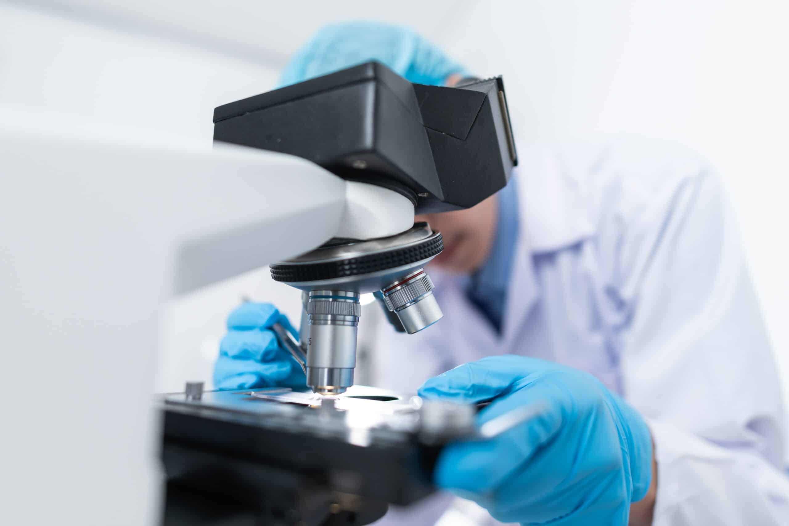 Woman scientist bent over microscope studying slide.