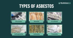 asbestos training requirements osha