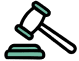 Feature Icon