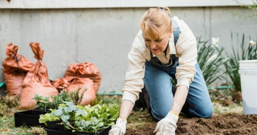 Elderly woman with mesothelioma gardening to help manage cancer anxiety